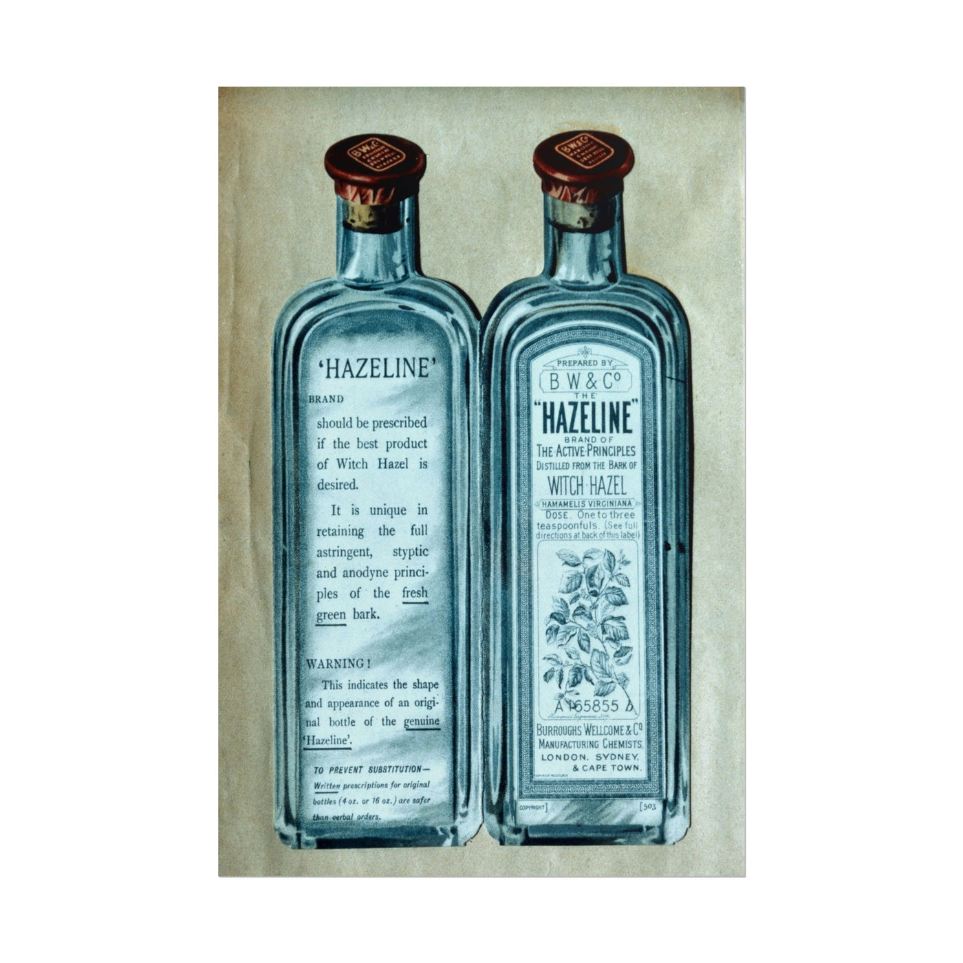 Hazeline 12″×18″