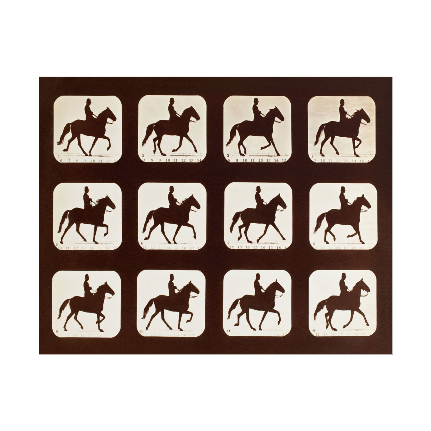 The Amble: One Stride in Eleven Phases 14″×11″