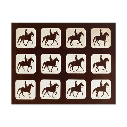 The Amble: One Stride in Eleven Phases