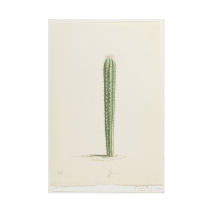 Detailed illustration of a cactus on a soft background.