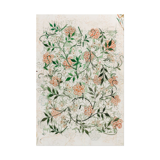 Jasmine Illustration poster by  William Morris  - 12x18 inch print