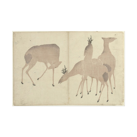 Four Deer