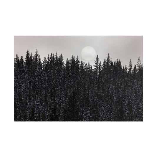 Snow-laden pines in a dark forest under a glowing moon.