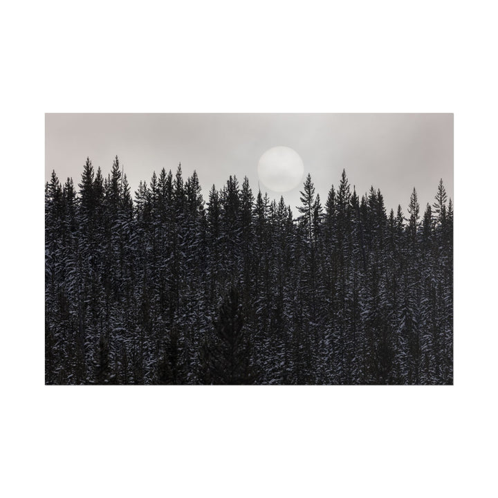 Snow-laden pines in a dark forest under a glowing moon.