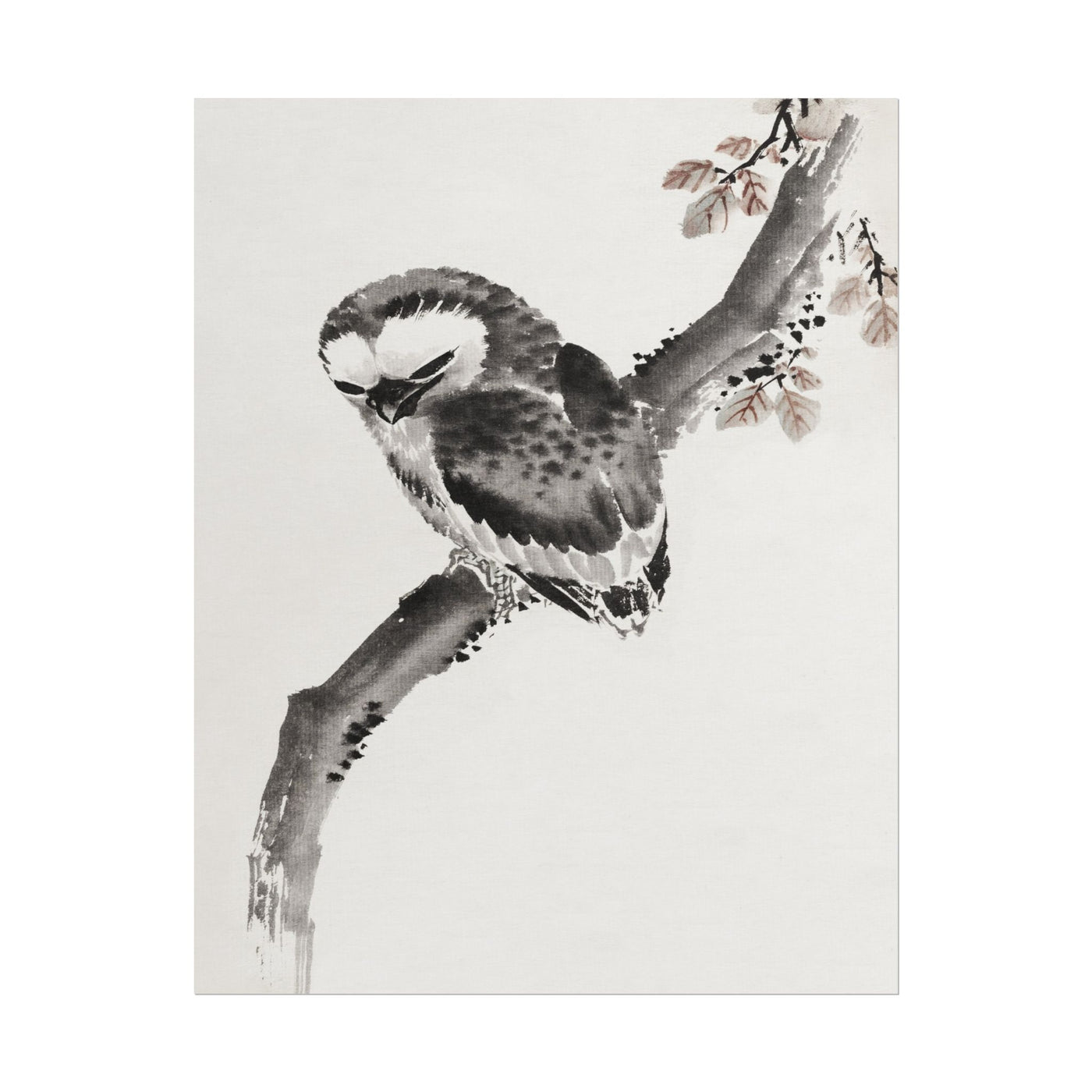 Japanese Owl 11″×14″