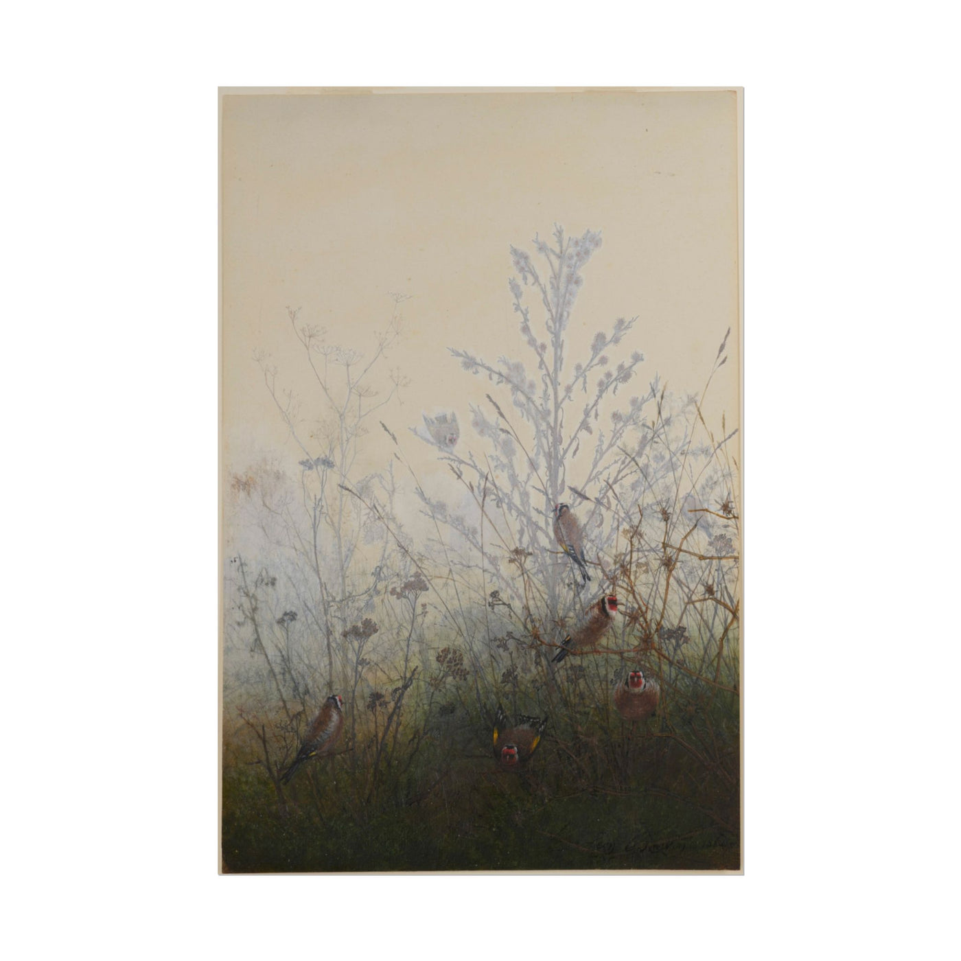 Goldfinches 12″×18″