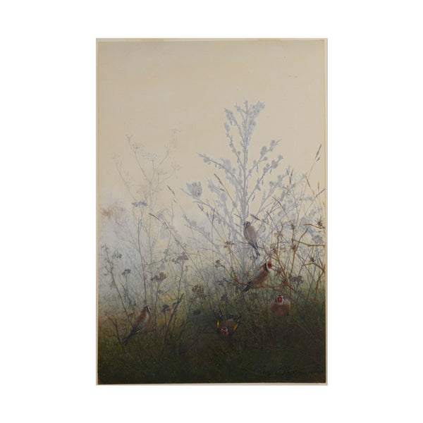 Goldfinches