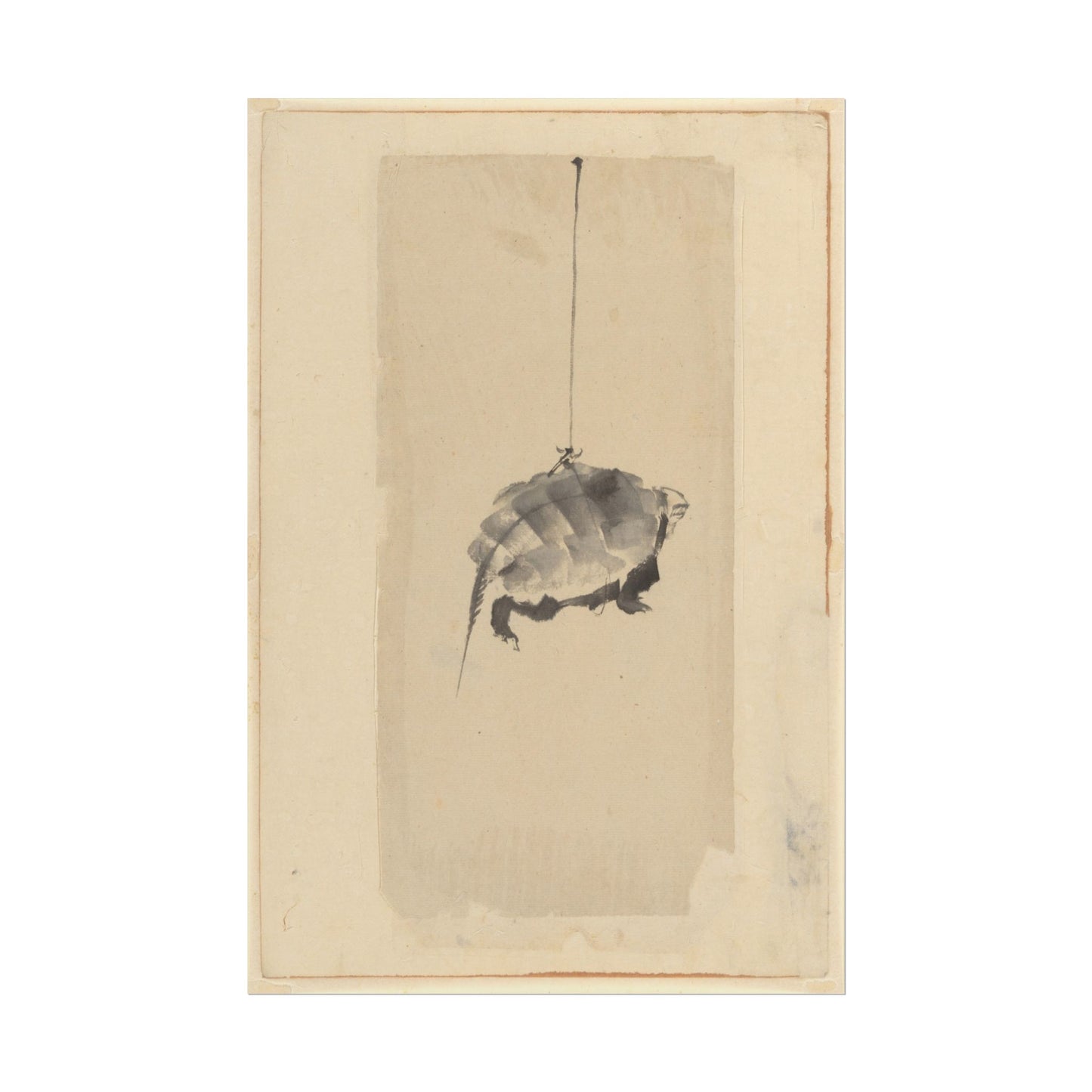 Tortoise Suspended by String