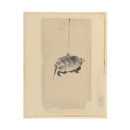 Tortoise Suspended by String