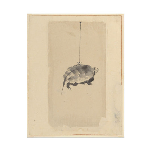 Tortoise Suspended by String