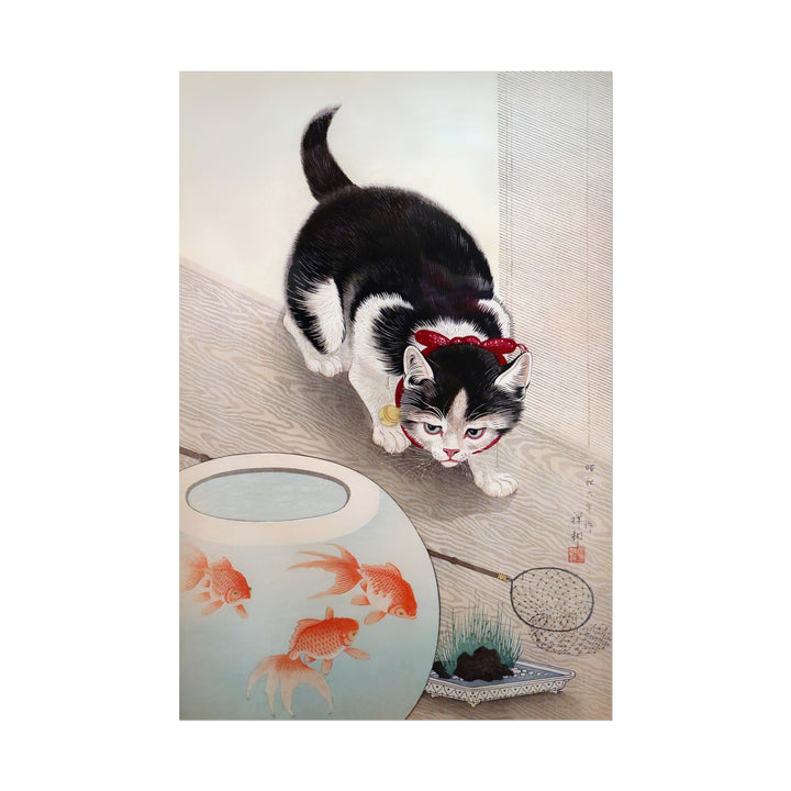 Cat and Goldfish Bowl