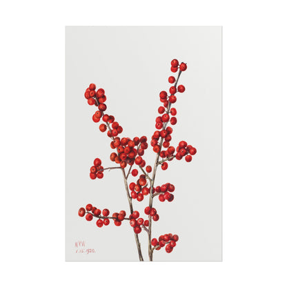 Art print of red berries on a branch with a white background