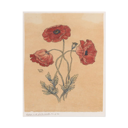 Vintage Poppy Flower