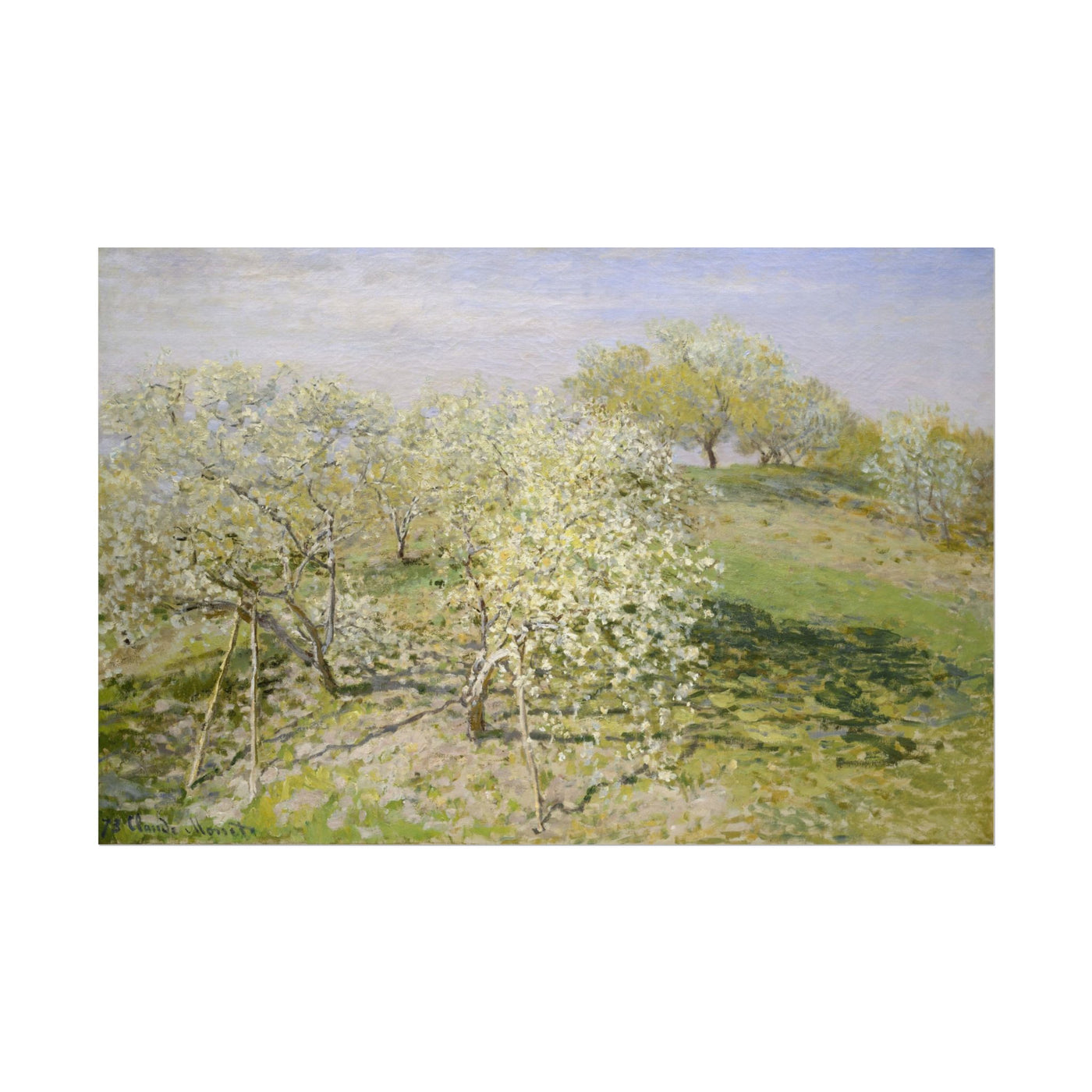 Spring 18″×12″