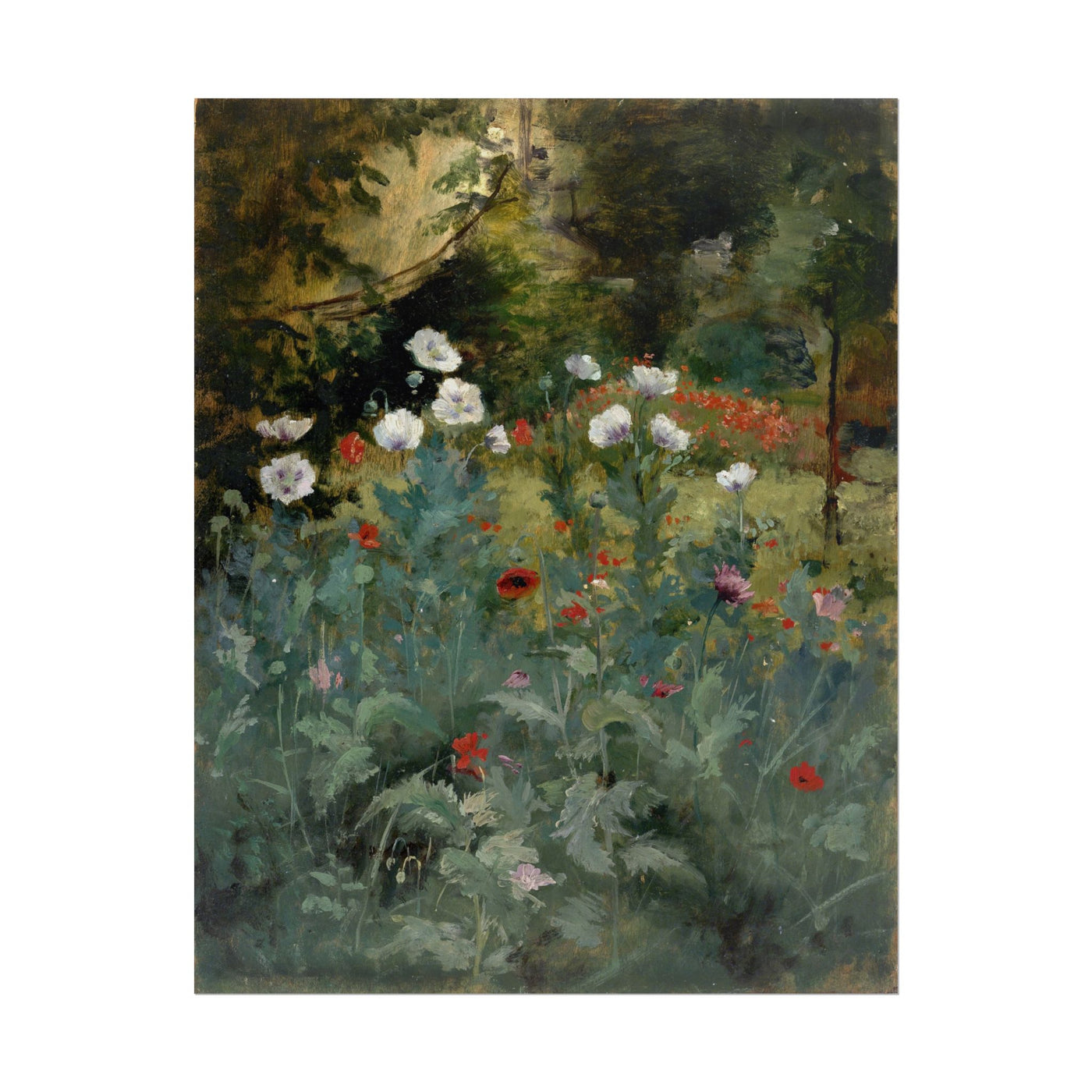 Poppies 11″×14″