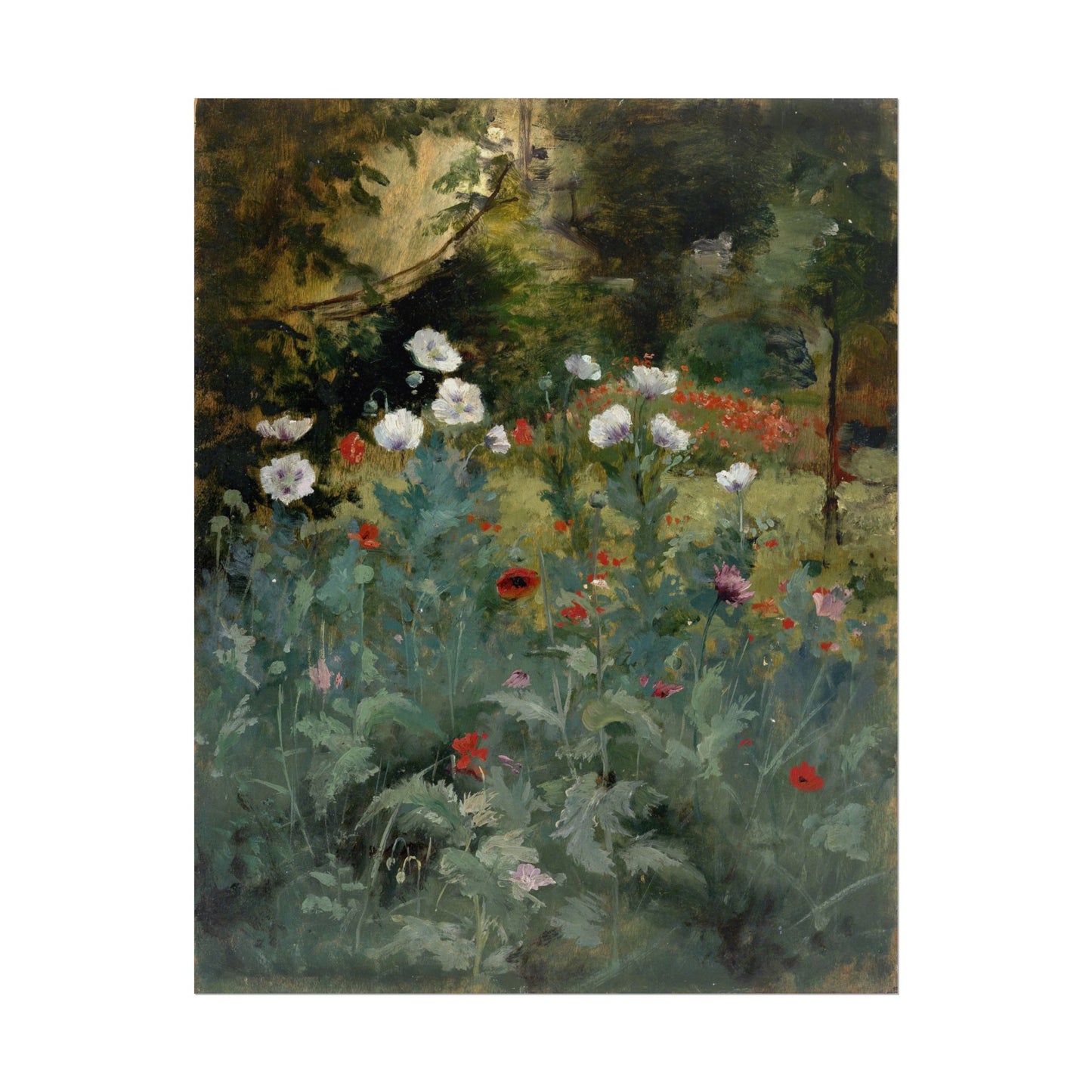 Poppies