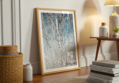 Birch Trees in Utah High Country