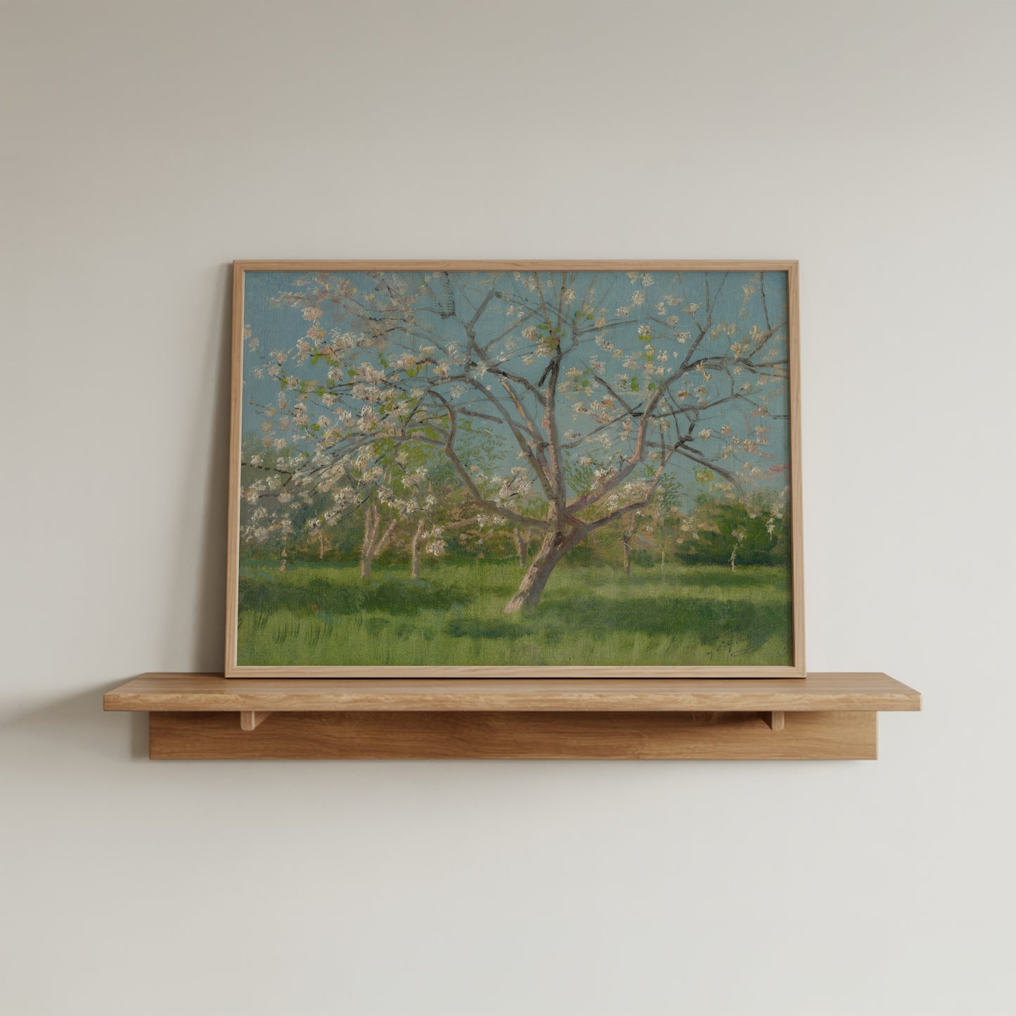 Study of Blooming Trees