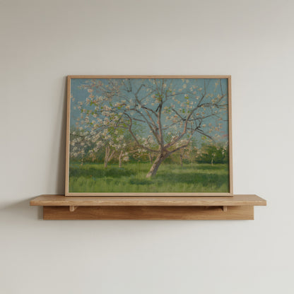 Study of Blooming Trees