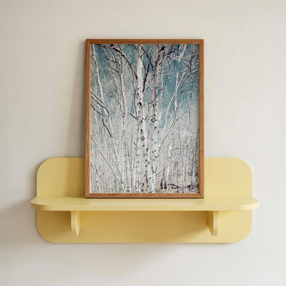 Birch Trees in Utah High Country