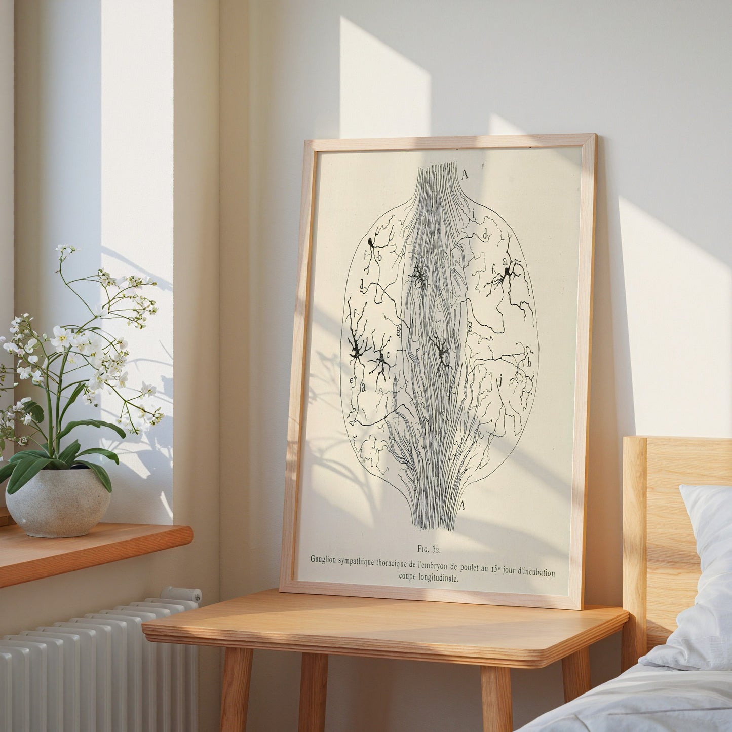 Neuron Drawing