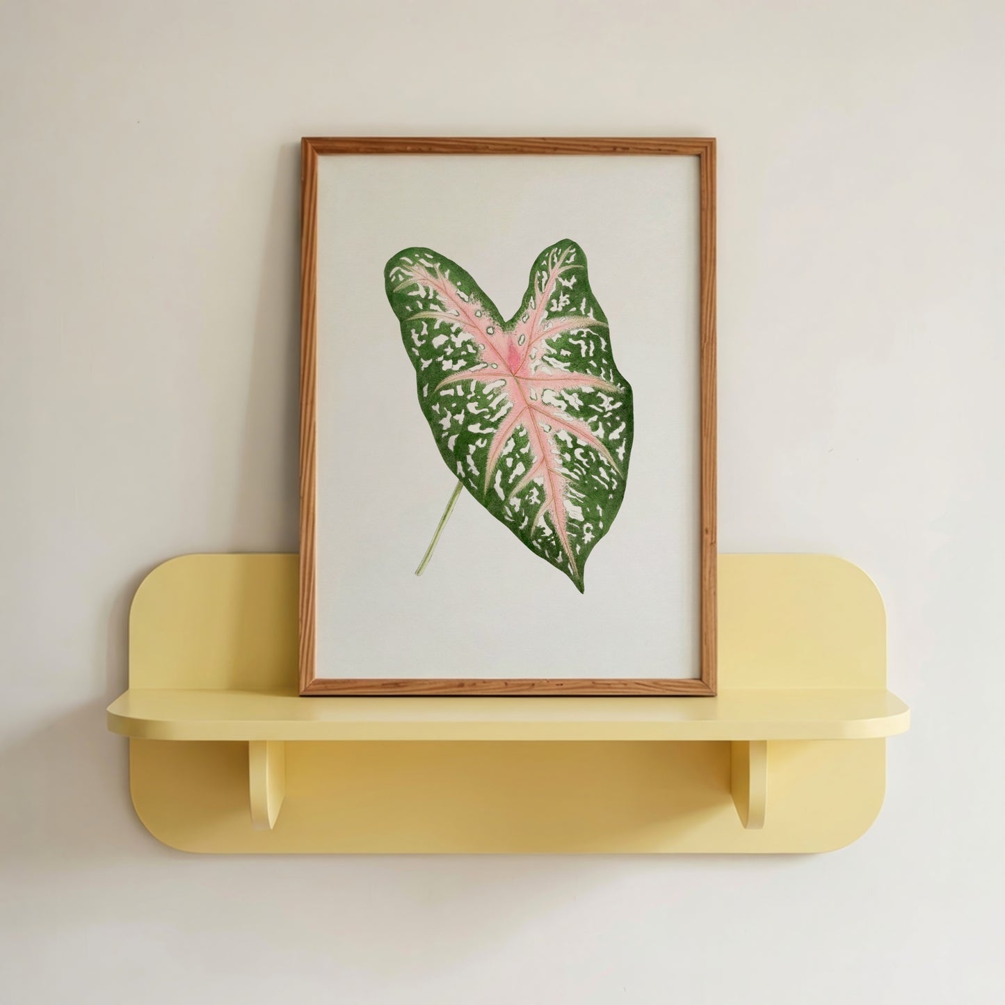 Caladium Leaf