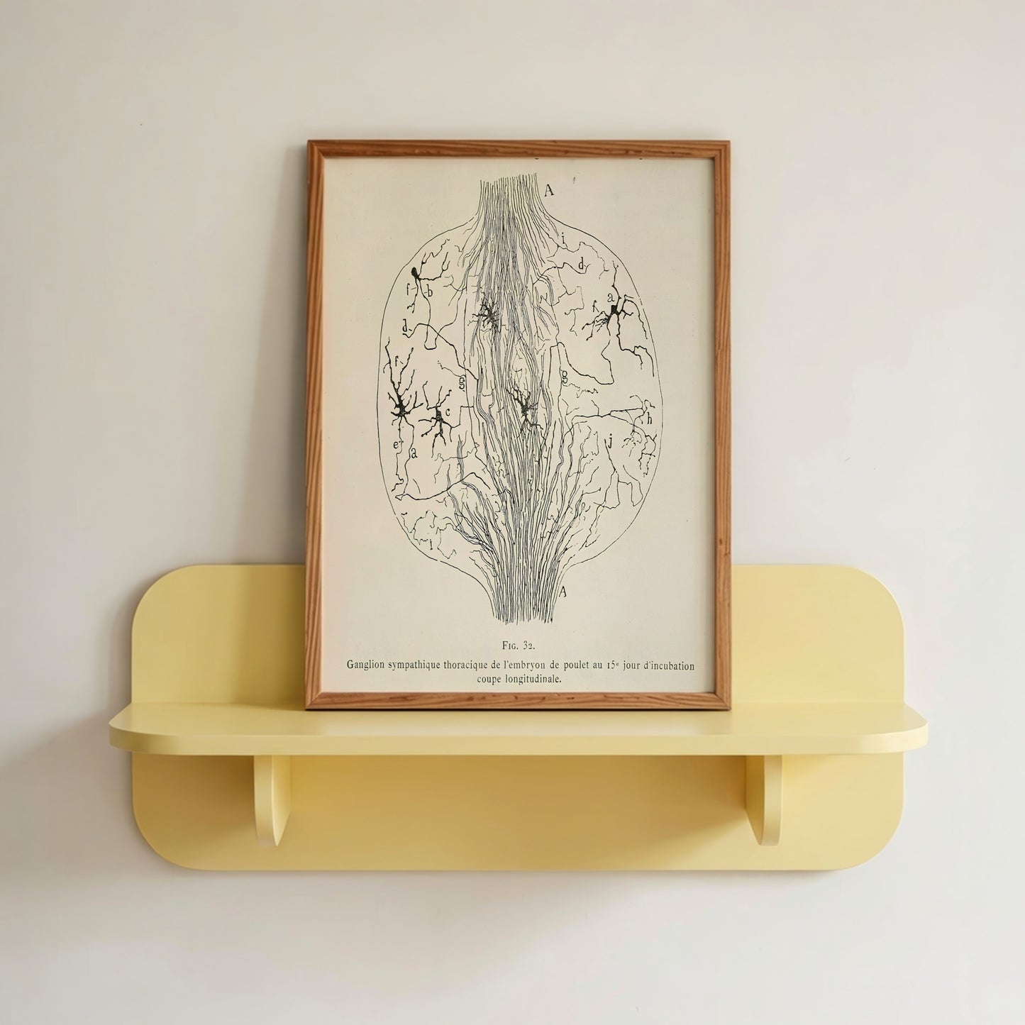 Neuron Drawing