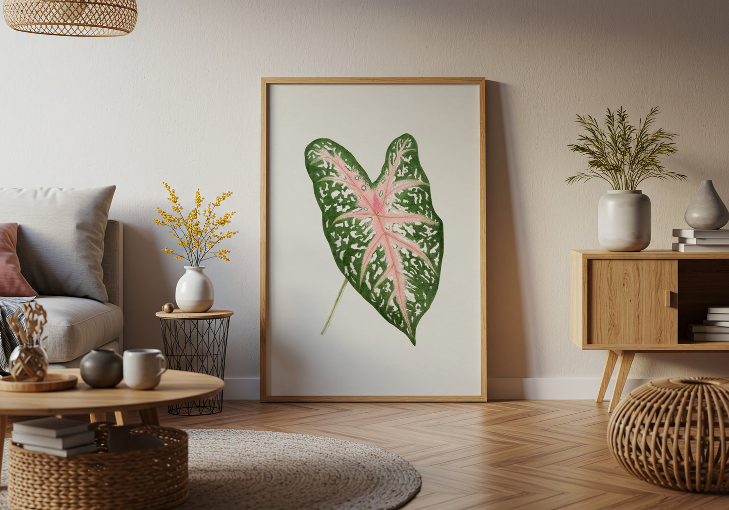 Caladium Leaf