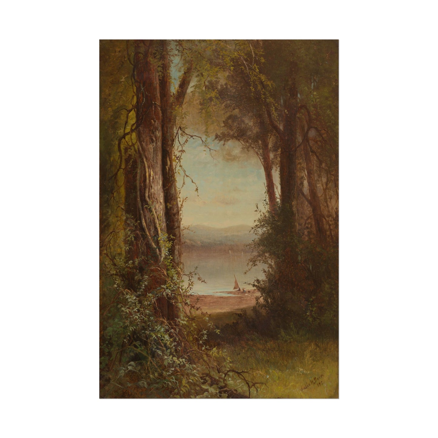 Looking upon the River