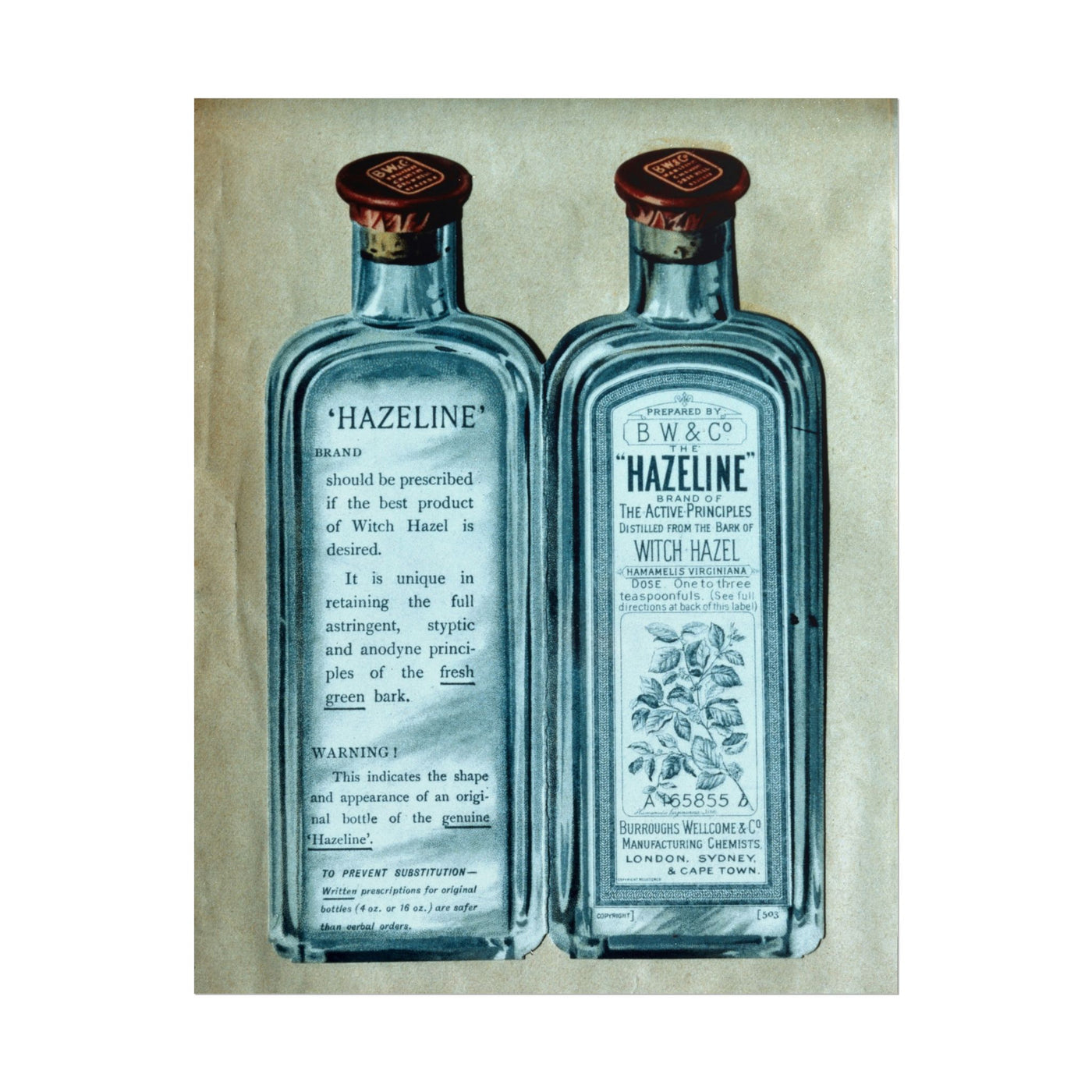 Hazeline 11″×14″
