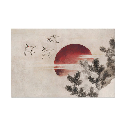 Birds and Sunset