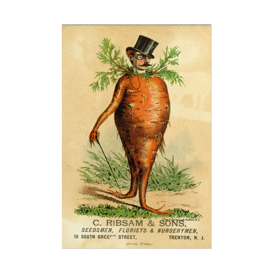 Victorian Carrot Man poster by C Ribsam & Sons  - 12x18 inch print