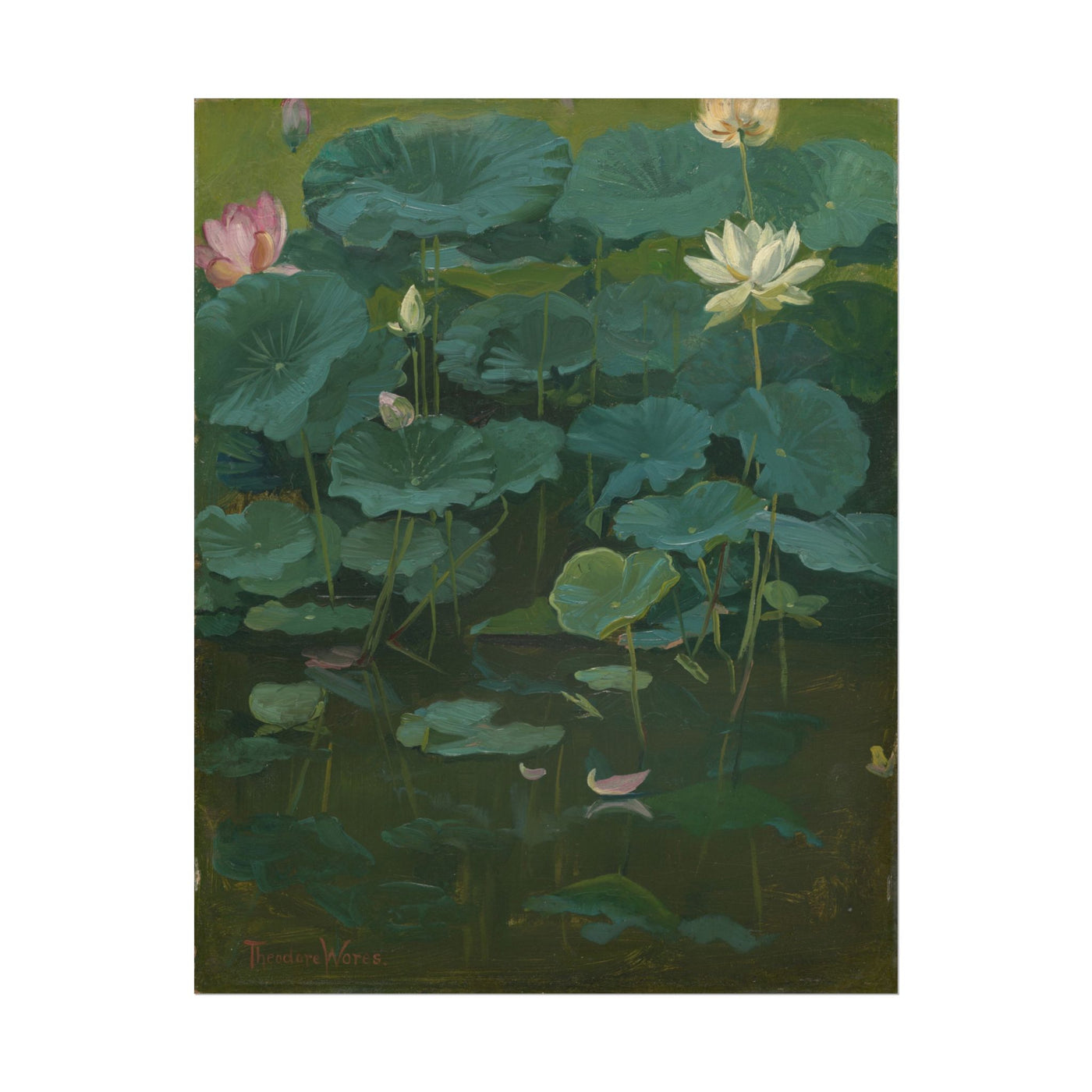 Buddha’s Flowers: Lotus 11″×14″