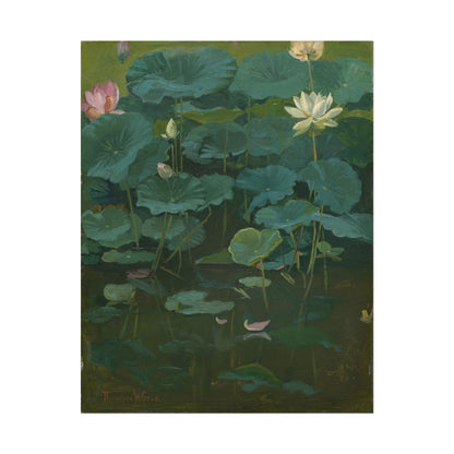 Buddha’s Flowers: Lotus