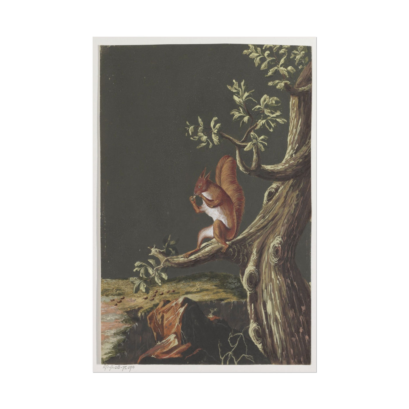 Squirrels 12″×18″
