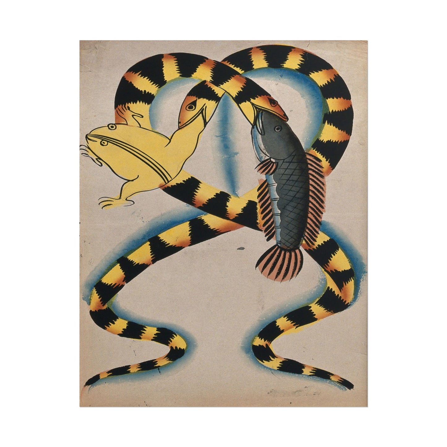 Two colorful watersnakes depicted swallowing a fish and a frog.