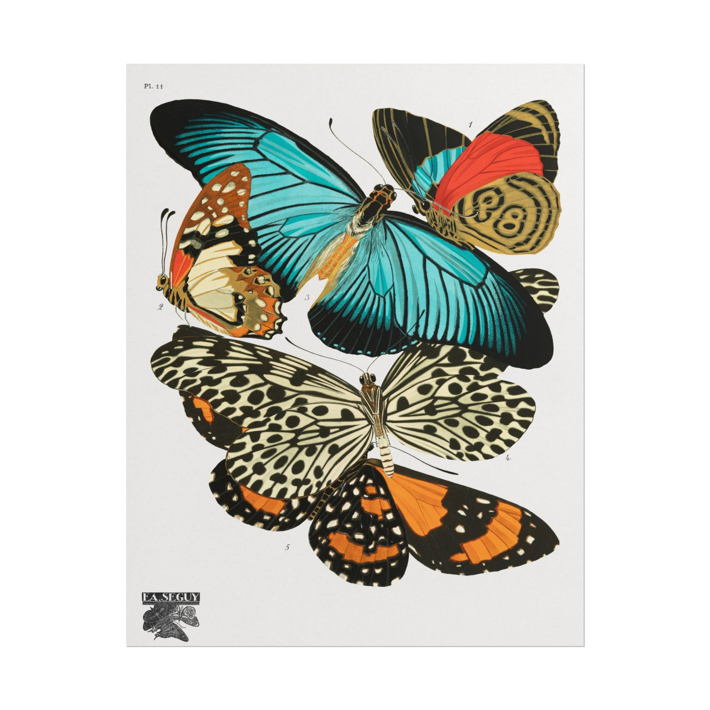 Vintage Butterflies 11″×14″