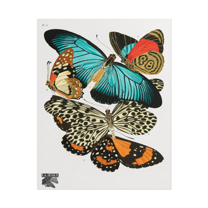 Vintage Butterflies