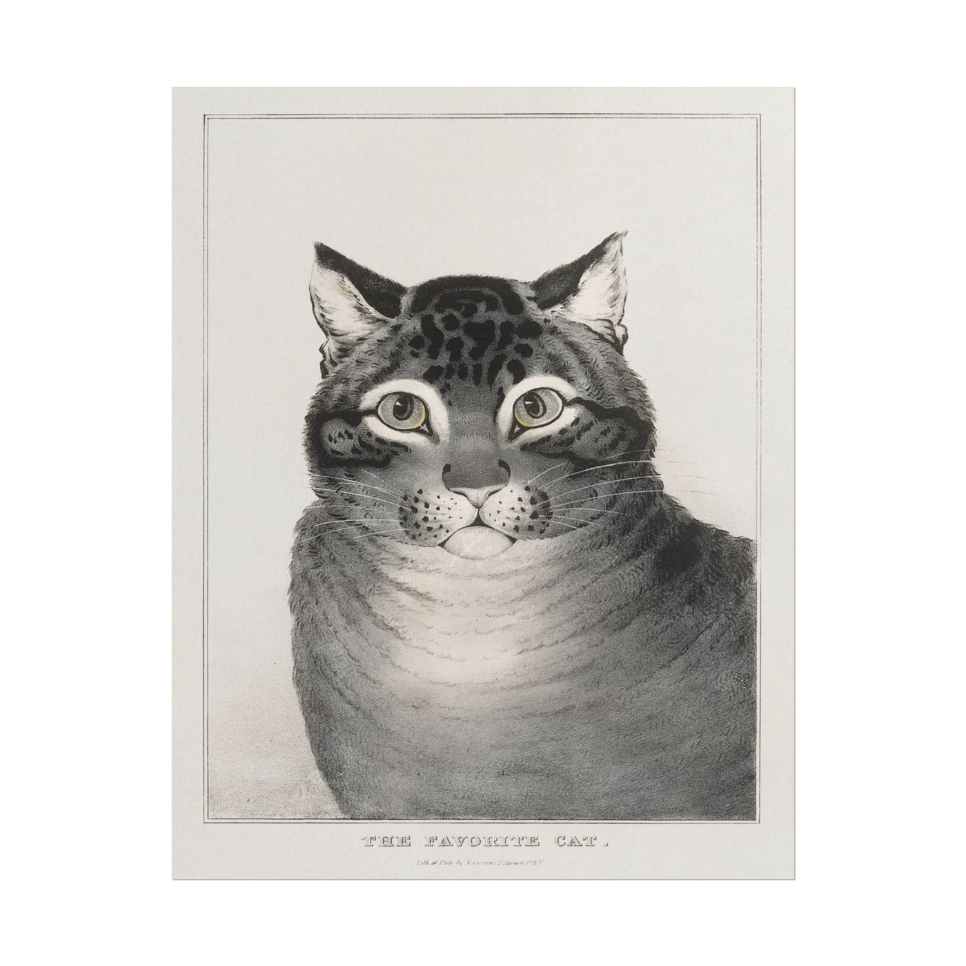 Japanese Cat 11″×14″