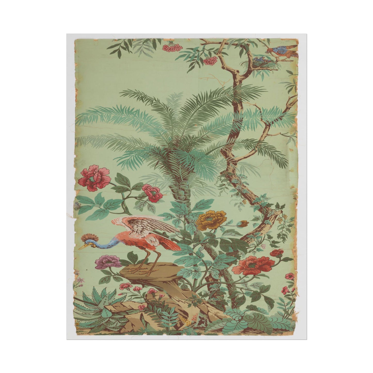 Colorful tropical birds amid lush botanical elements and flowers.