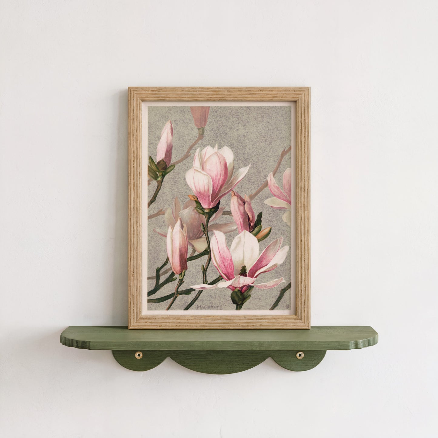 Magnolia Print
