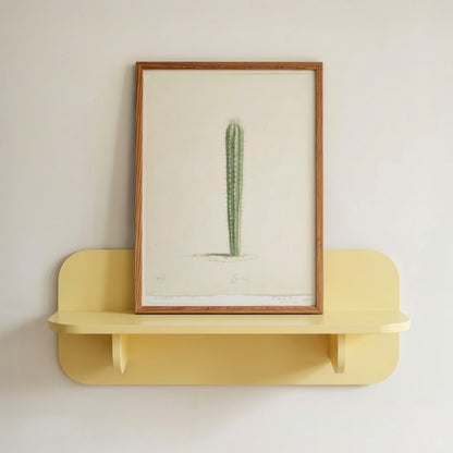 Cactus Botanical