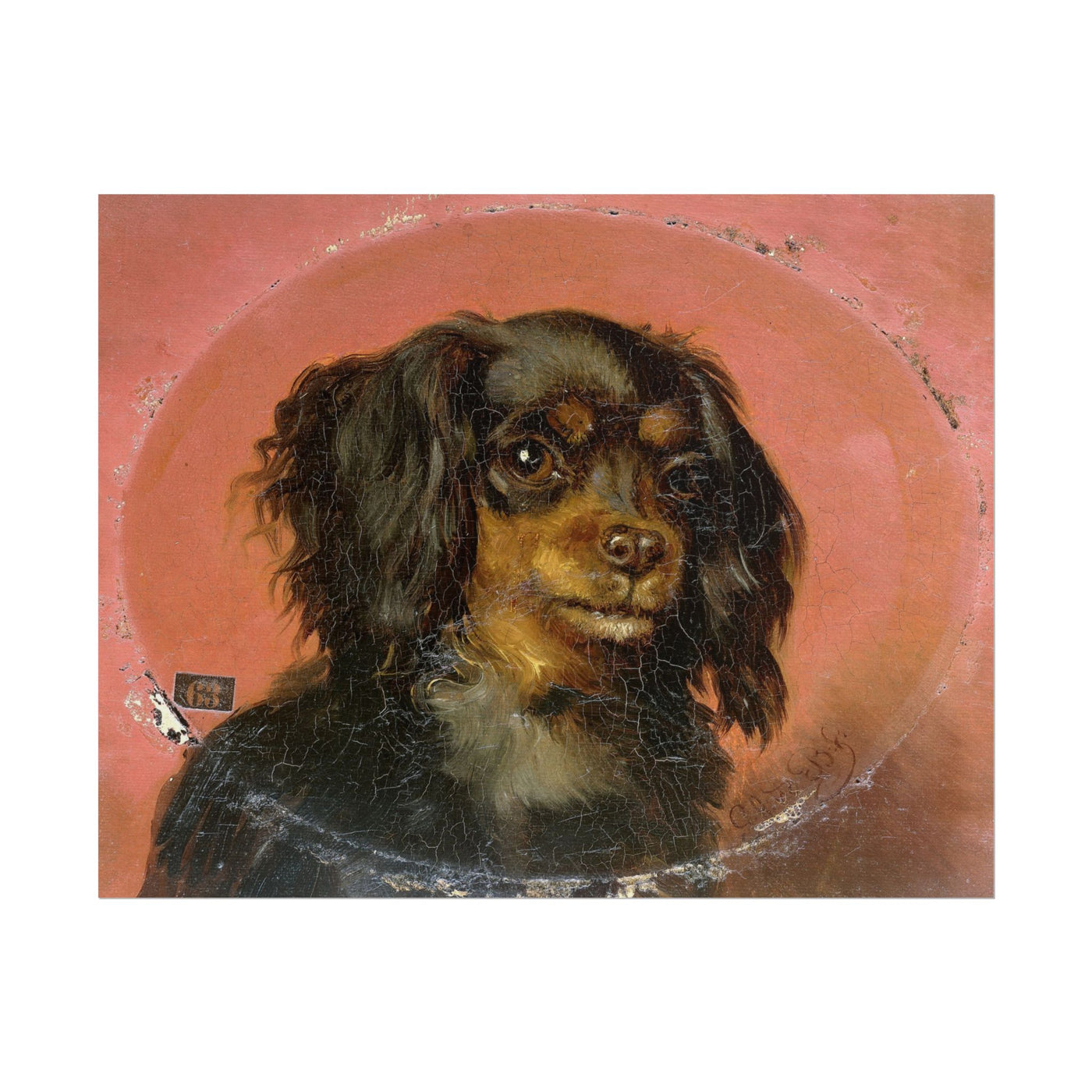 Dog Portrait 14″×11″