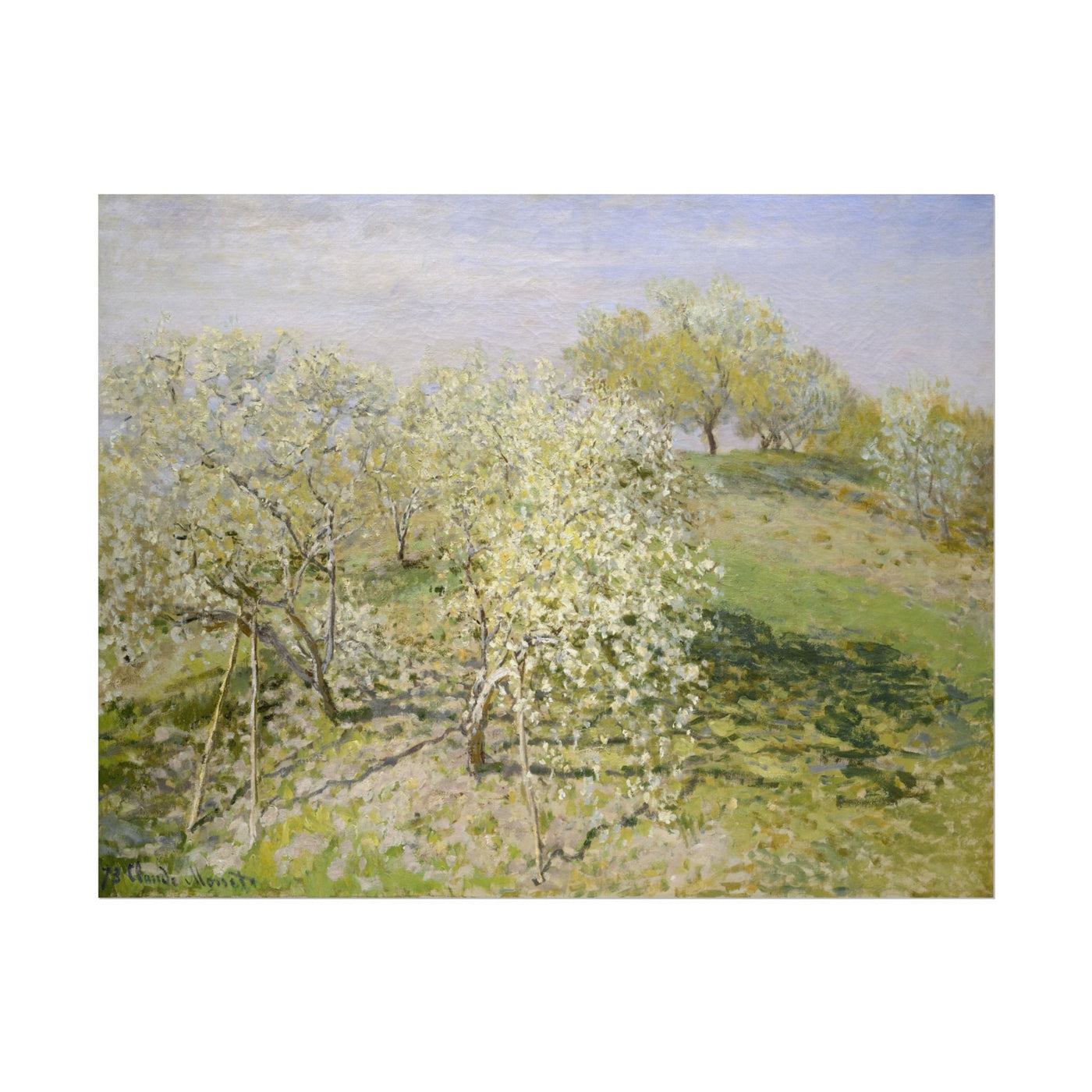 Spring 14″×11″