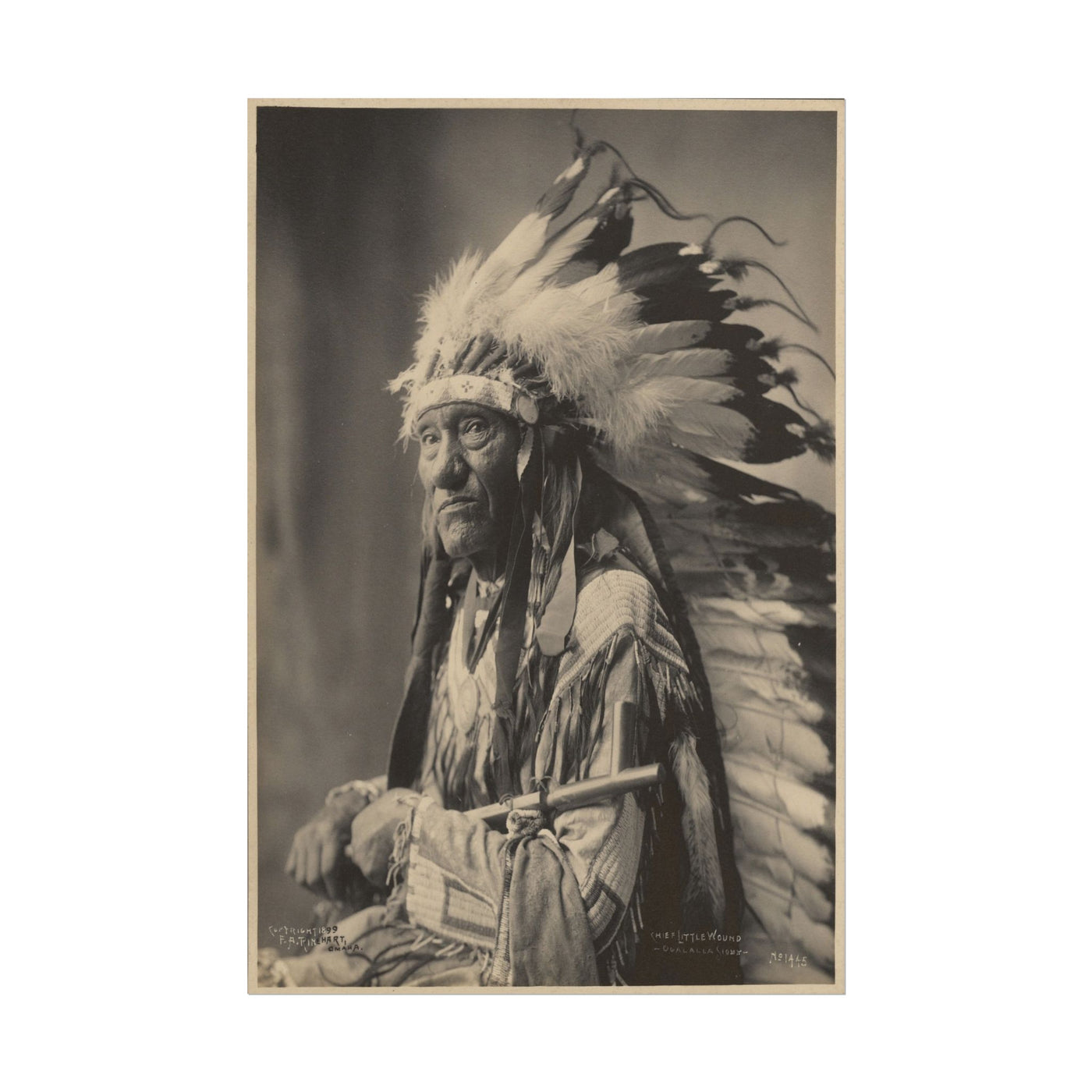 Native American Chief 12″×18″