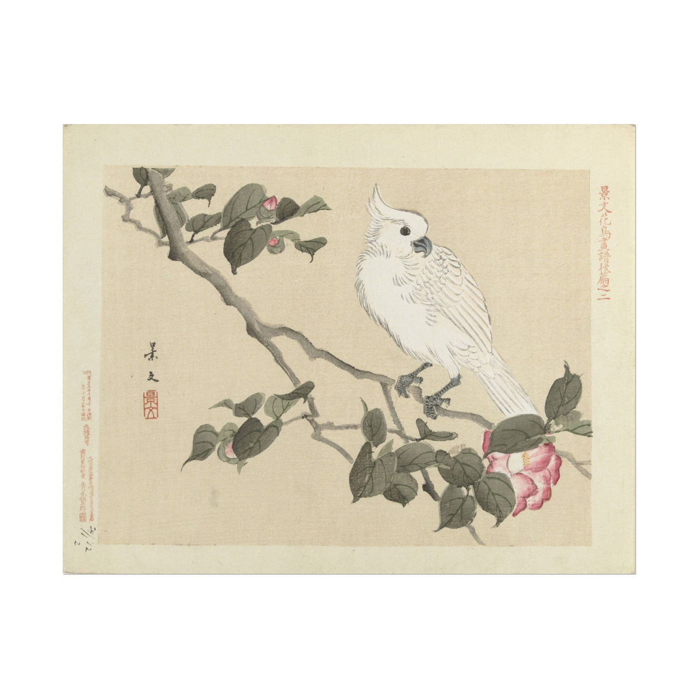 Elegant White Bird Art Print 14″×11″
