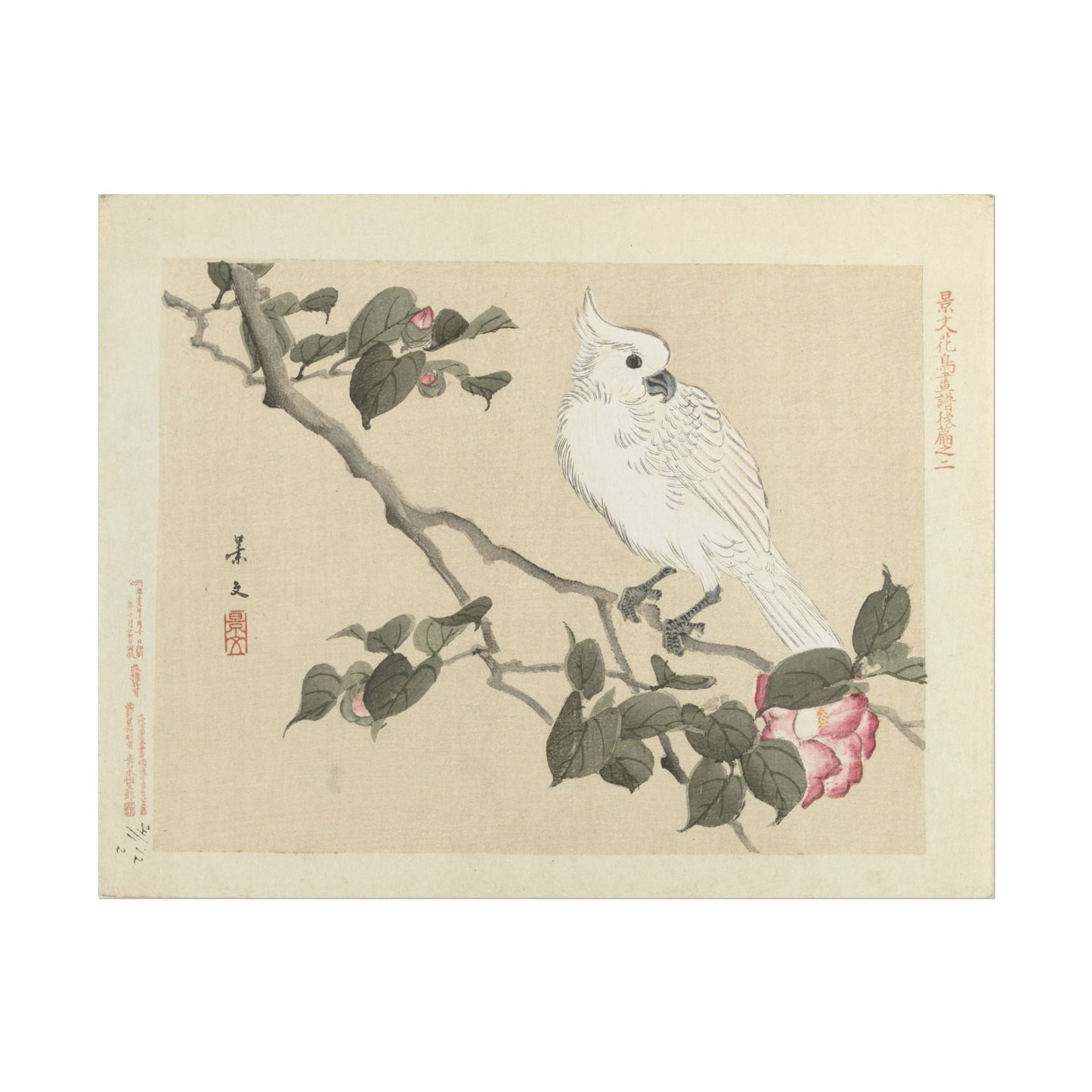 Elegant White Bird Art Print