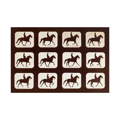The Amble: One Stride in Eleven Phases