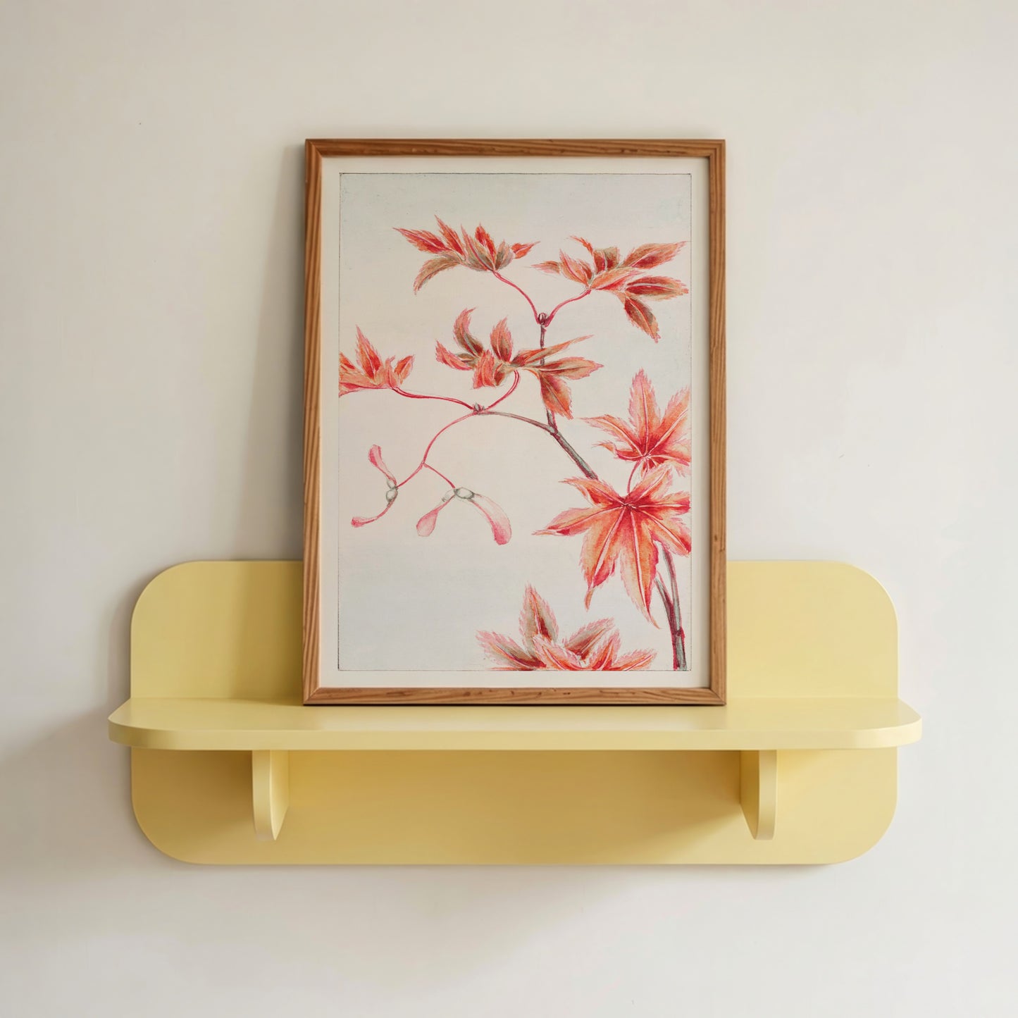Momiji Maple Leaves & Seeds