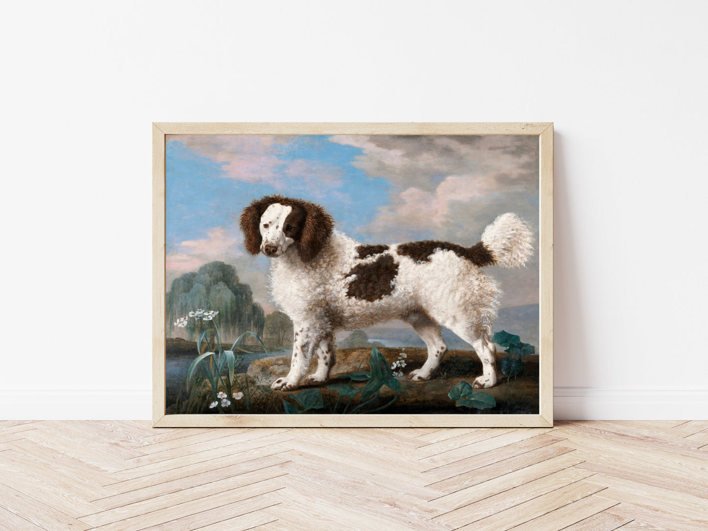 Brown and White Norfolk Spaniel